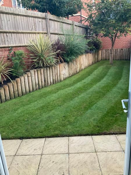 LAWN ALL DONE!  NO COMPLAINTS!