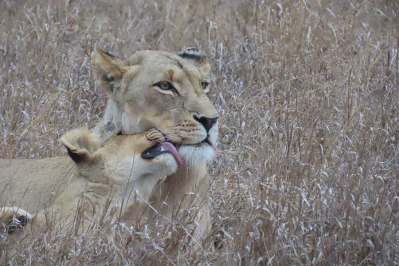 Awesome Southern Africa Journey!