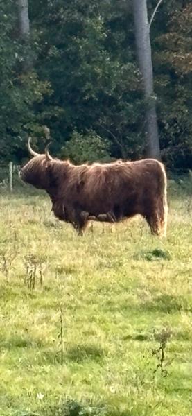 The beauties of Scotland