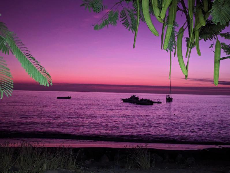 Hassle-free travel in Galapagos