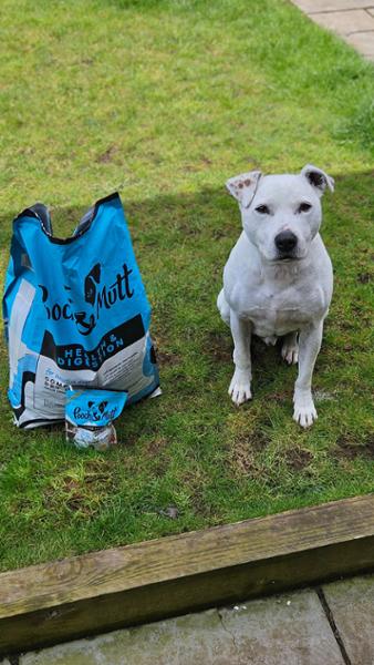 The best brand of dog food we have ever brought, highly recommend.