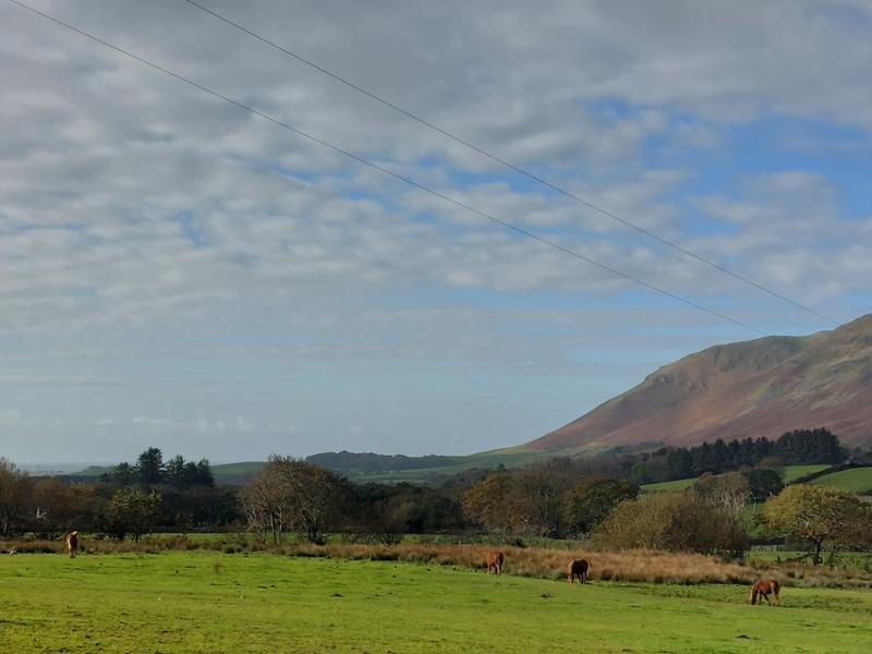 Baystone Bank