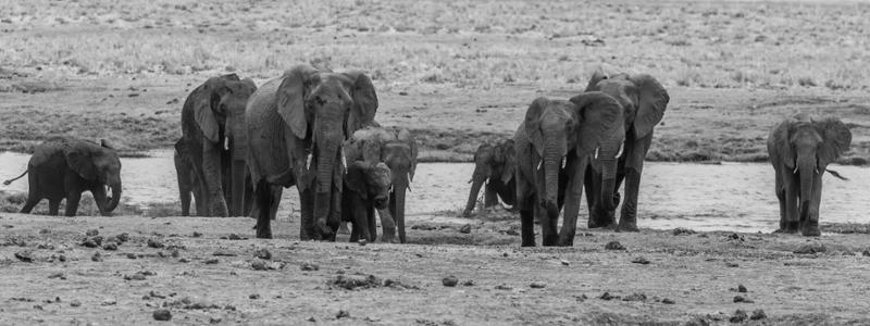 Go2Africa if you want the best trip ever!