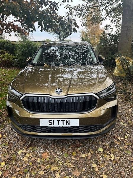 Jurni with a Kodiaq - The Big Brown Bear