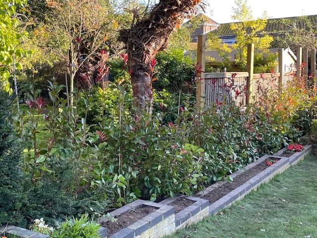 Quality plants with very efficient delivery