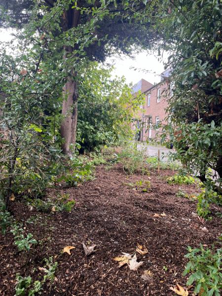 Woodland Garden Mulch - 750L XL Bulk Bags - Eco & Organic