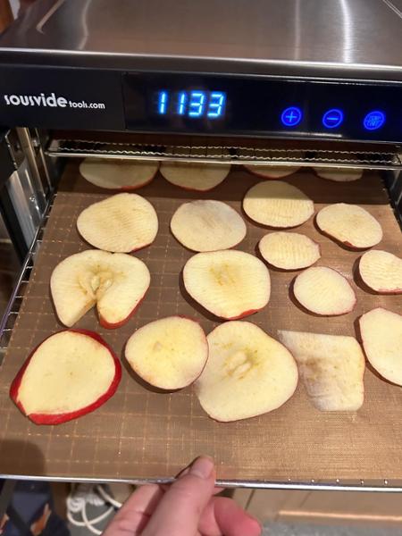 6 Tray Stainless Steel Food Dehydrator