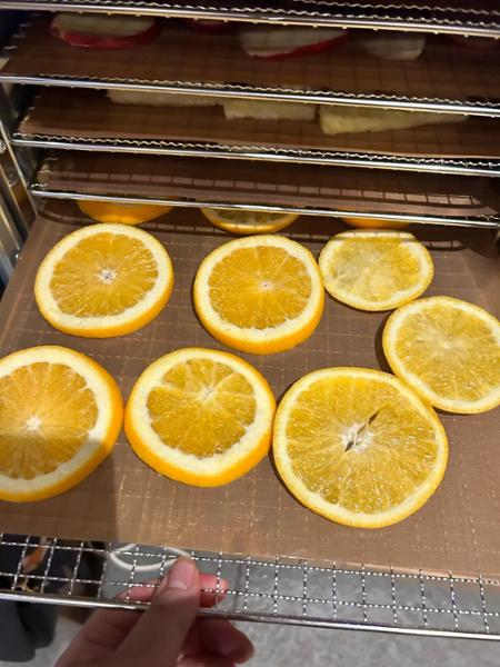 6 Tray Stainless Steel Food Dehydrator