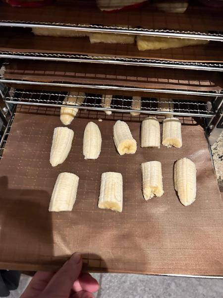 6 Tray Stainless Steel Food Dehydrator
