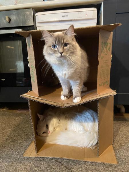 We love lily’s kitchen