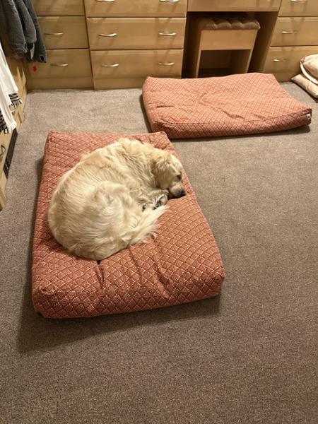Great beds