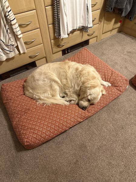 Great beds