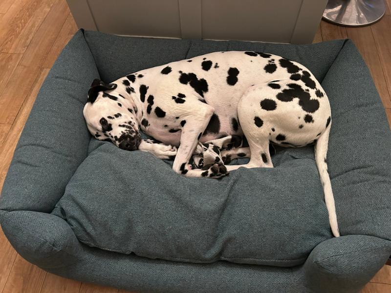 Bed for a Prince