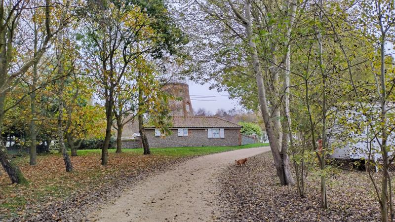 Little gem of a holiday property