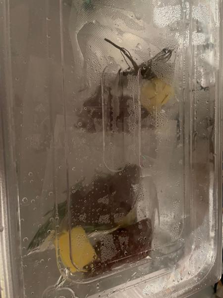 The Sous Vide Logic 😉🤣🤣