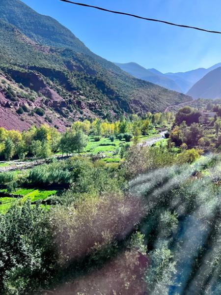 A great introduction to Moroccan life