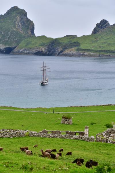 A dream come true sailing adventure