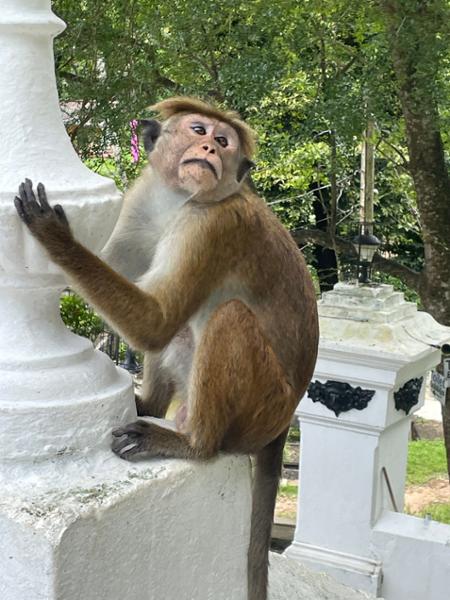 Highlights of Sri Lanka