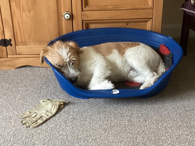 Best value and excellent product, highly recommended.