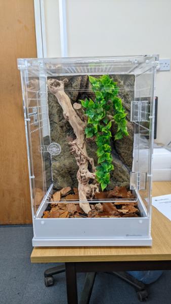 Swell Reptiles - great choice and service.