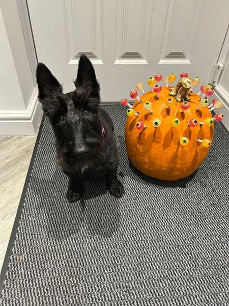 One happy Scottie (and owner)