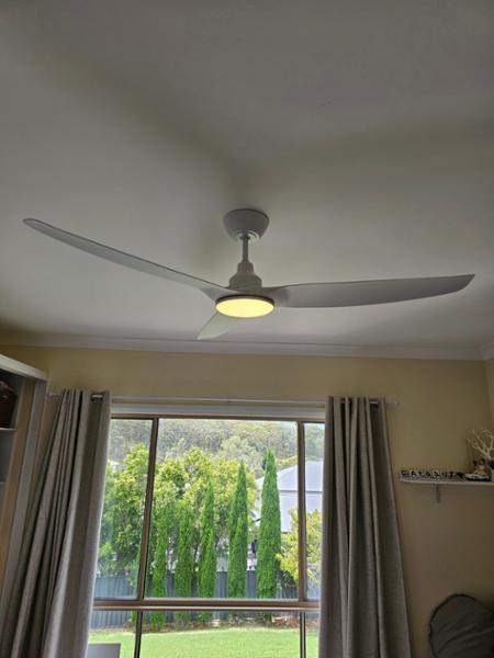 Nice fans