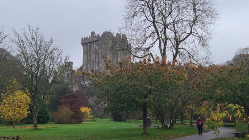 Great tour for anyone!