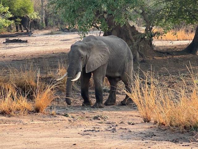 Go2 Africa for an amazing African Journey
