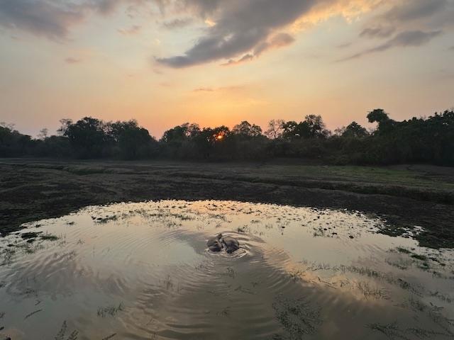 Go2 Africa for an amazing African Journey