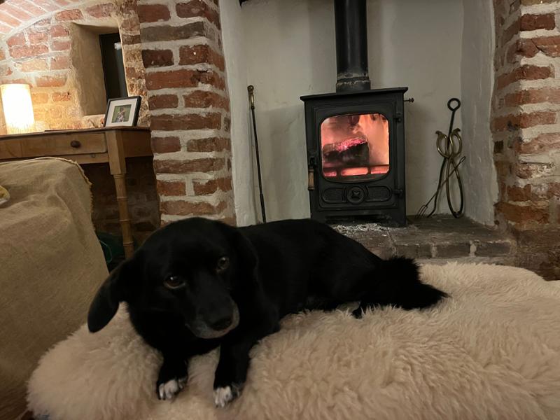 Paw of approval