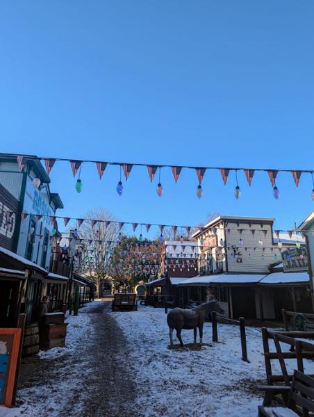 Cowboy street bunting