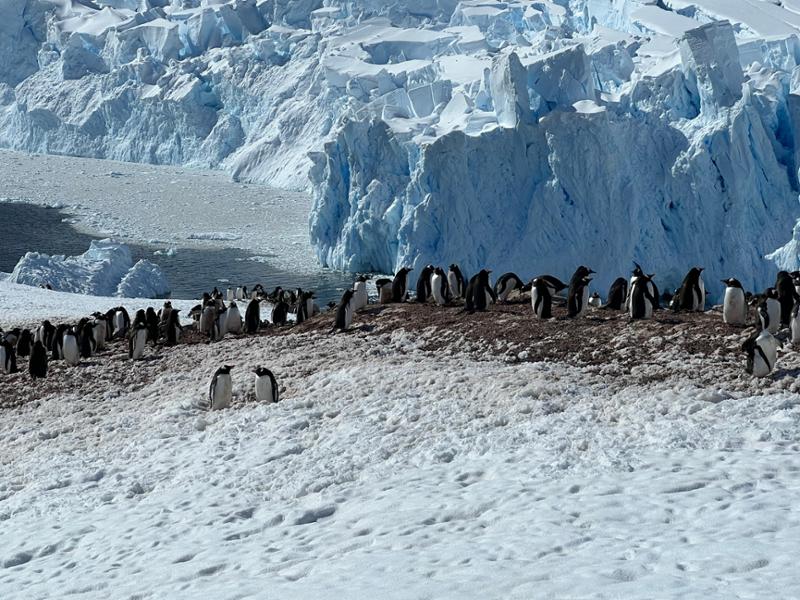 My Ocean Nova Expedition Review