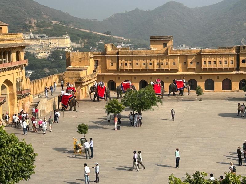 Essence of India by Luxury Gold
