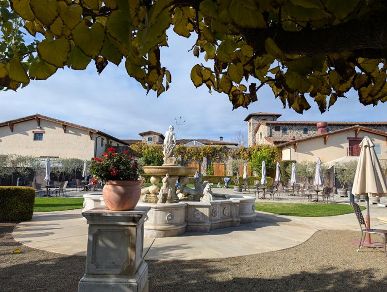 Napa and Sonoma Valley with Gray Line