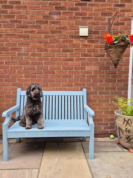 Polywood Bench