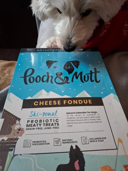 Great for dog treats and food