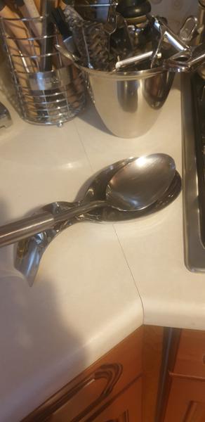 Stainless Spoon Rest.