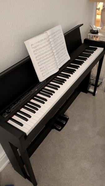 Just love the Korg C1