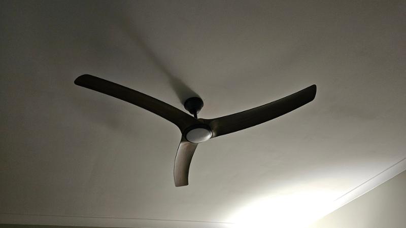 Fans online customer servicer