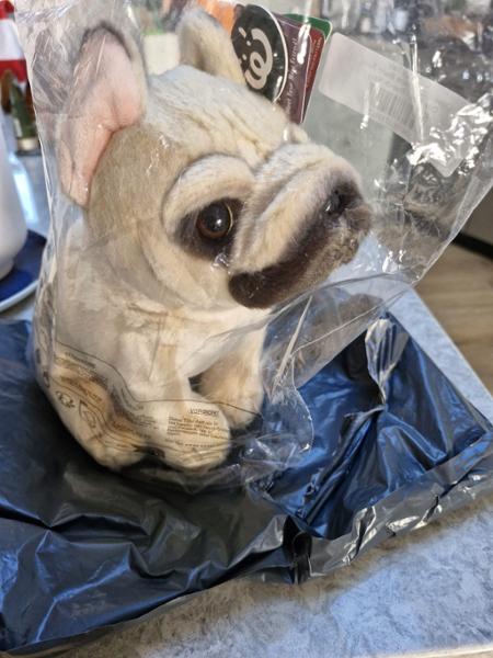 French Bulldog *****