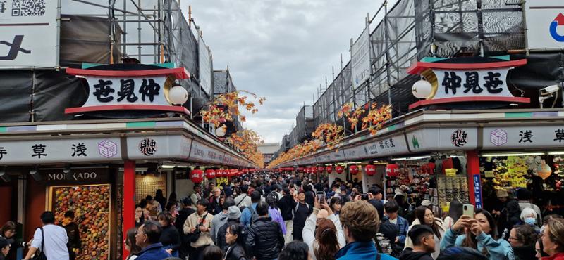 Perfect Japan Trip.
