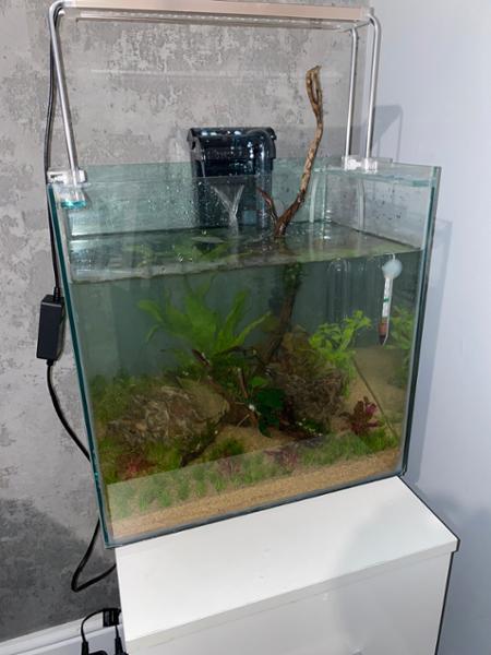 Aqua one over hang 70L filer