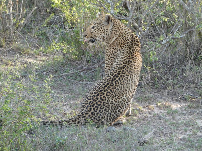 Wow! Luxury Lodges and Abundance of Wildlife