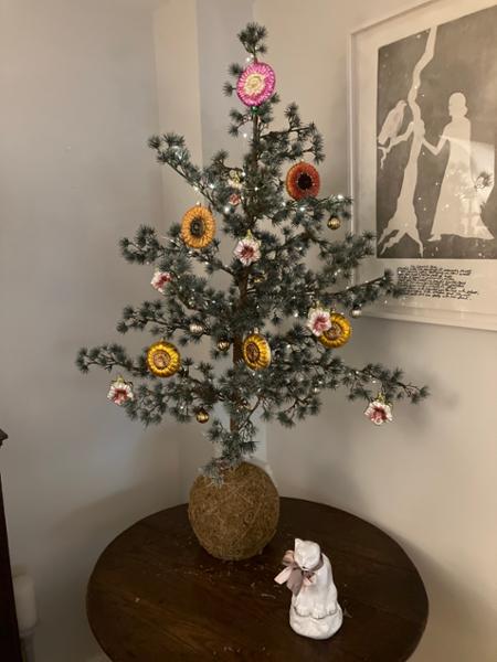 Sunflowers for Christmas