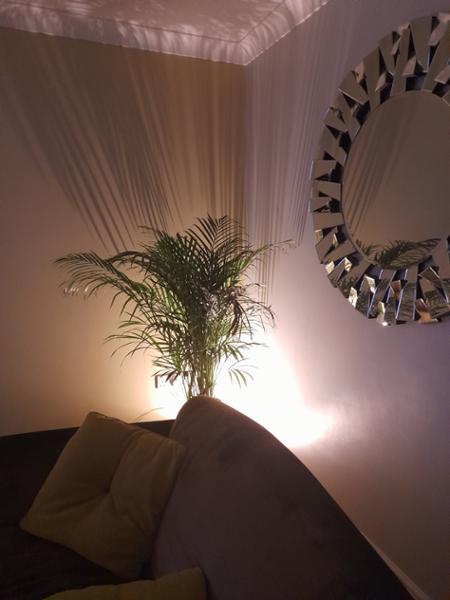 Uplighting LED lights