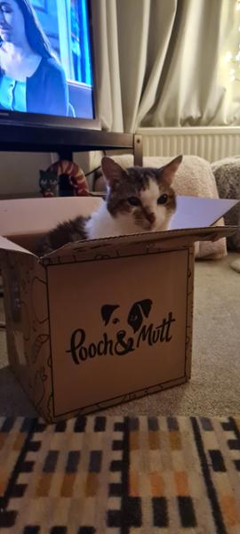 Dry Cat Food | 1.5kg | Hypoallergenic | Salmon and Herring | Grain Free & Natural Ingredients | Vet Recommended | Purr and Miaow