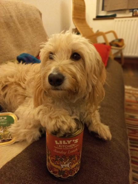 Lily's Kitchen Classic 12 x 400g Multipack Wet Dog Food