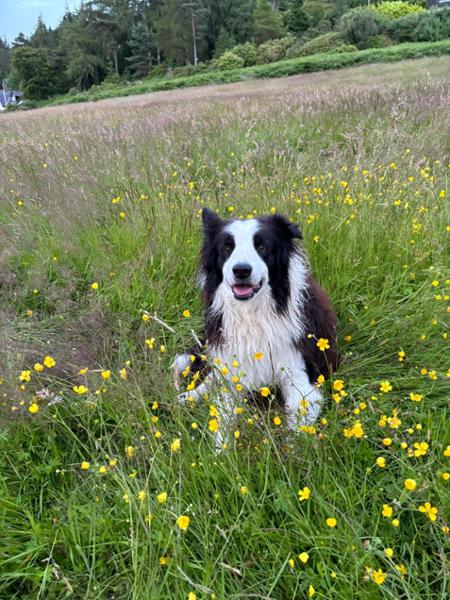 "All's well that ends well" - his paws have healed.