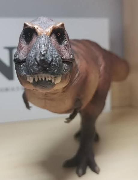 Cameron, the best T. rex on the market (as of 2024)