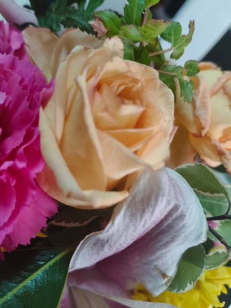 Bas quality flowers and delivery. Flowers should not die within 36hrs